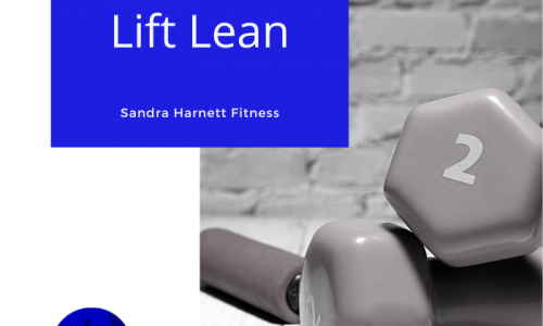 Lift Lean Mini Course